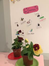 Καλοκαιρινό Σχολείο